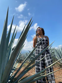 a woman standing in a field of agave plants